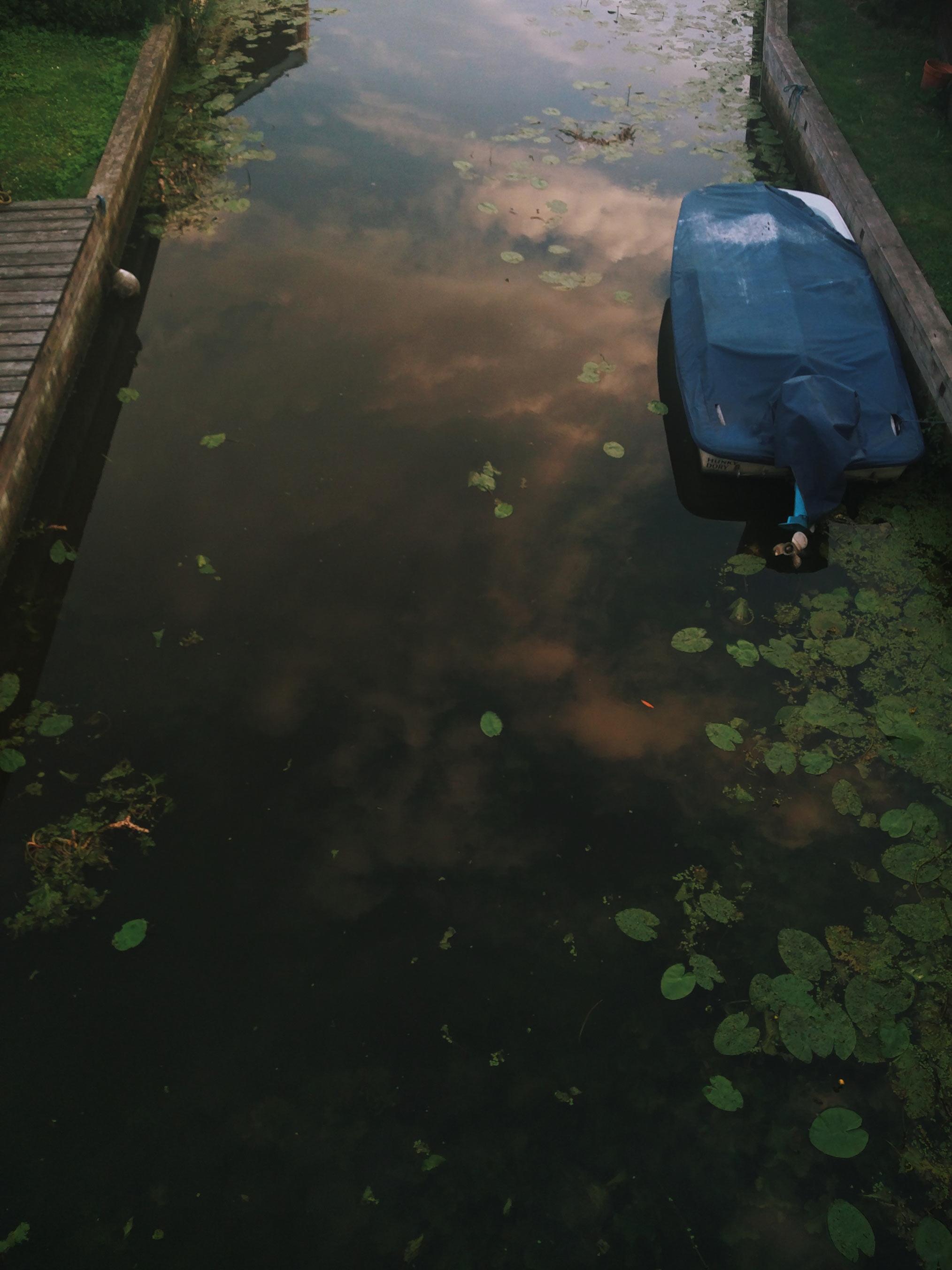 sunset reflection on swamp