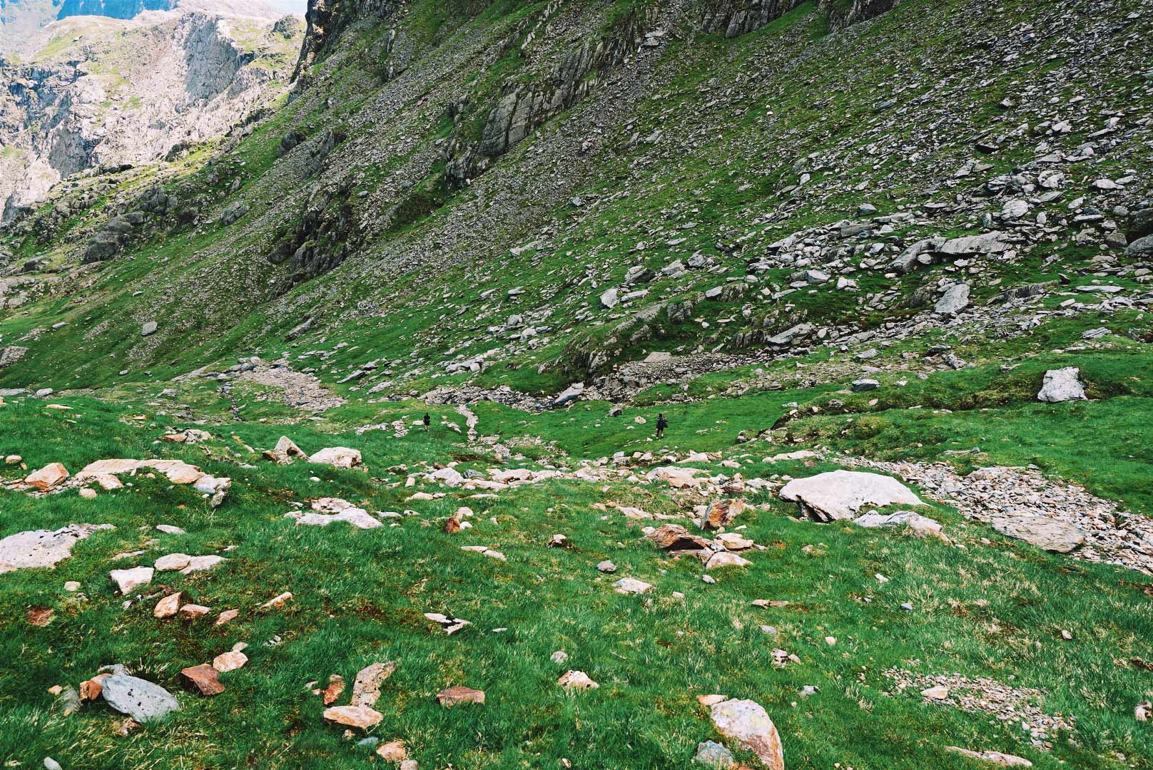 grassy side of snowdon